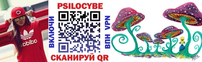 Псилоцибиновые грибы Psilocybe  купить закладку  blacksprut маркетплейс  Лысково 